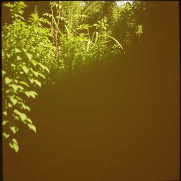 Обложка трека Должник- садовод бойся.