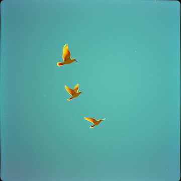 Обложка трека Свободный ветер (v.2)