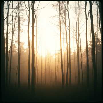 Обложка трека Мамина песня