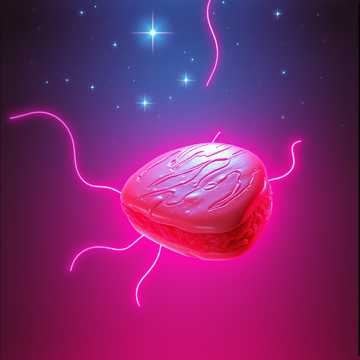 Обложка трека котлета (v.2)