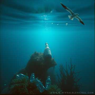 Обложка трека Lagoon