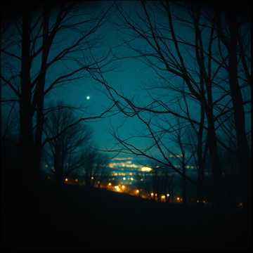 Обложка трека свобода (v.2)