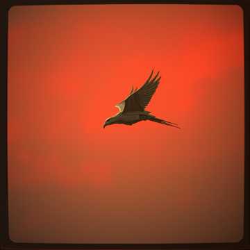 Обложка трека Техник (v.4)